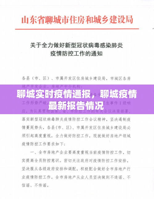 聊城实时疫情通报，聊城疫情最新报告情况 