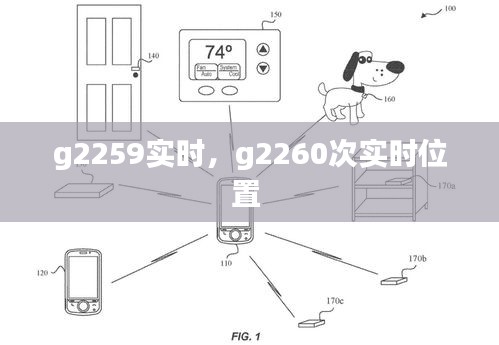 服务项目 第221页