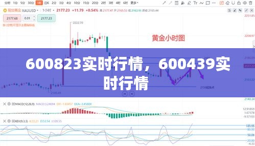 600823实时行情，600439实时行情 
