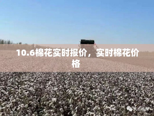 服务项目 第217页