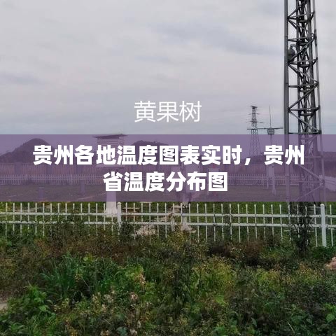 客户反馈 第213页