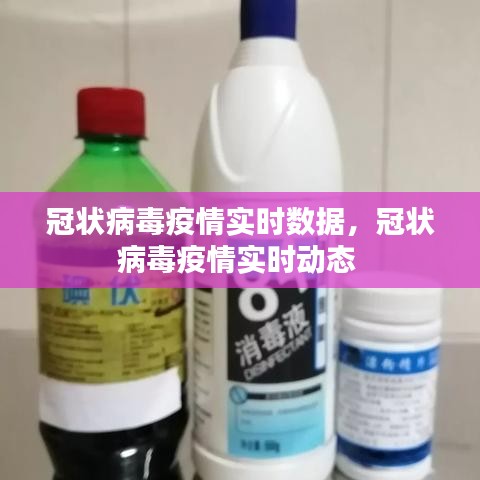 联系我们 第219页