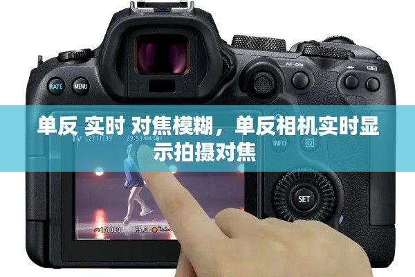 单反 实时 对焦模糊，单反相机实时显示拍摄对焦 