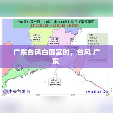 技术支持 第209页