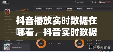抖音播放实时数据在哪看，抖音实时数据怎么看 