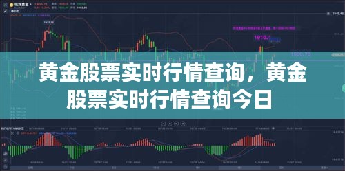 技术支持 第204页