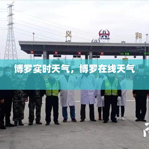客户反馈 第205页