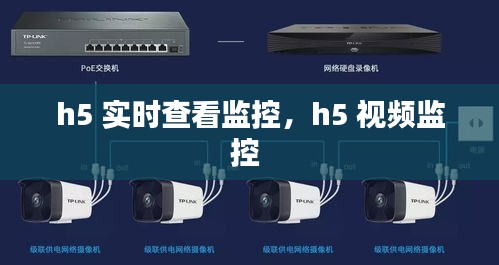 h5 实时查看监控，h5 视频监控 