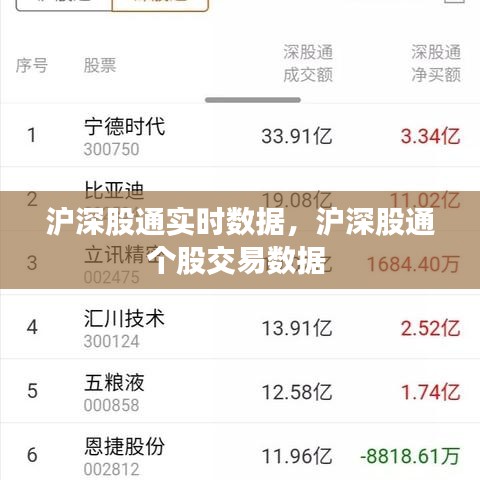 沪深股通实时数据，沪深股通个股交易数据 