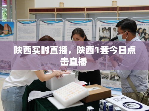 陕西实时直播，陕西1套今日点击直播 