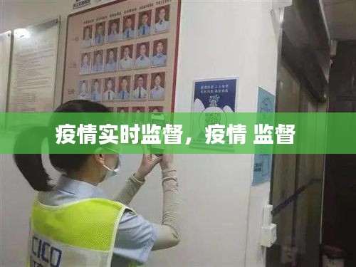 疫情实时监督，疫情 监督 