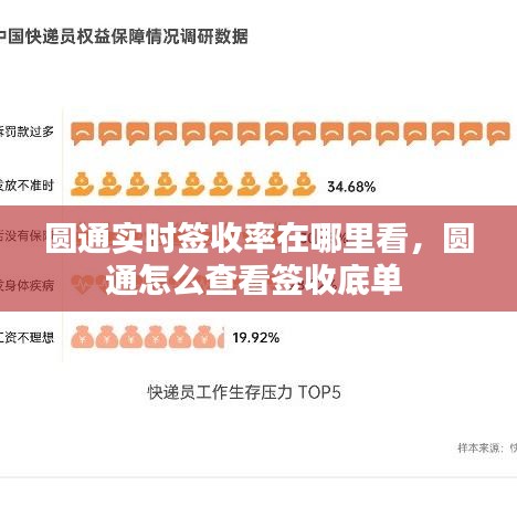 圆通实时签收率在哪里看，圆通怎么查看签收底单 