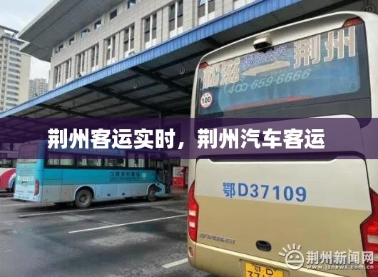 落土飞岩 第3页
