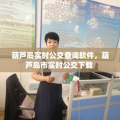 葫芦岛实时公交查询软件，葫芦岛市实时公交下载 