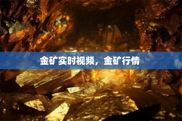 金矿实时视频，金矿行情 