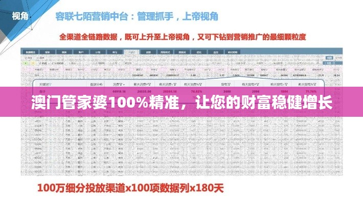 澳门管家婆100%精准，让您的财富稳健增长
