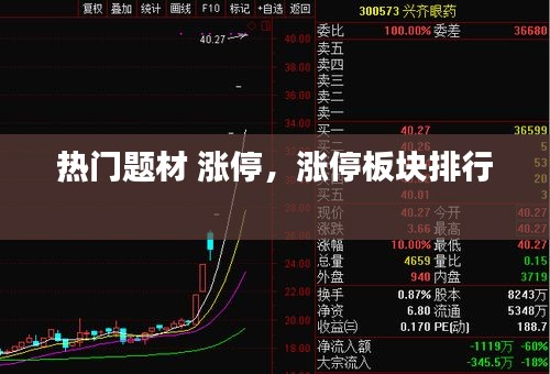 热门题材 涨停，涨停板块排行 