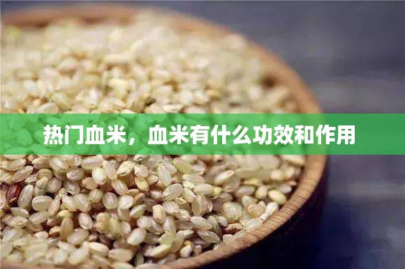 热门血米，血米有什么功效和作用 