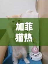 布被瓦器 第3页