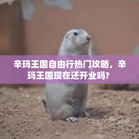 辛玛王国自由行热门攻略，辛玛王国现在还开业吗? 