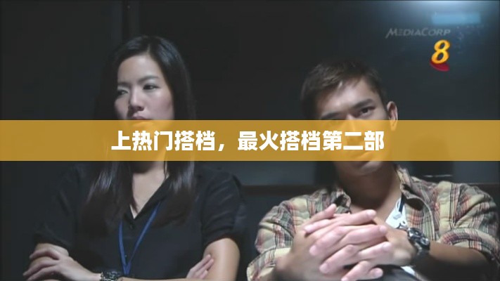 上热门搭档，最火搭档第二部 