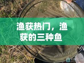 巧舌如簧 第3页
