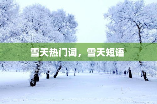 雪天热门词，雪天短语 
