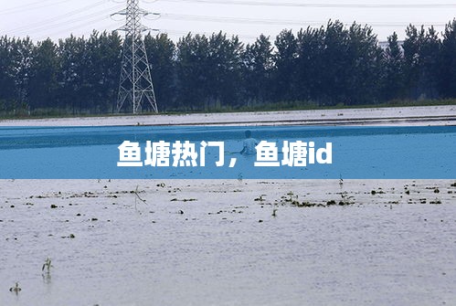 鱼塘热门，鱼塘id 