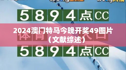 2024澳门特马今晚开奖49图片（文献综述）