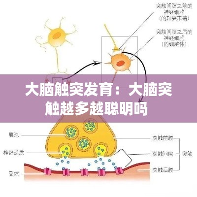 眉目如画 第3页
