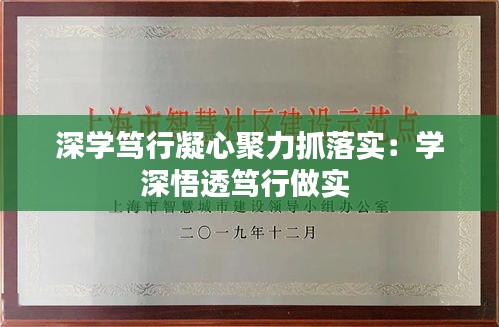 深学笃行凝心聚力抓落实：学深悟透笃行做实 