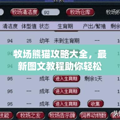 牧场熊猫攻略大全，最新图文教程助你轻松玩转游戏！