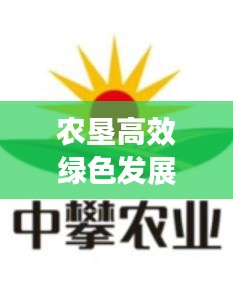 铺张扬厉 第2页