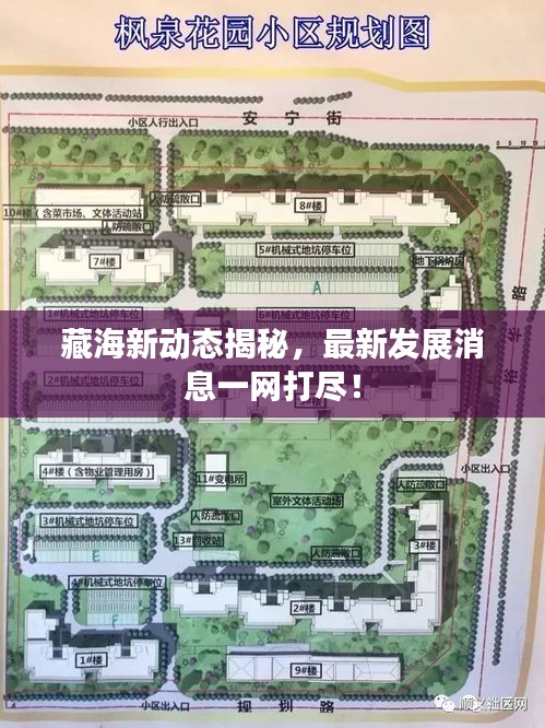 藏海新动态揭秘，最新发展消息一网打尽！