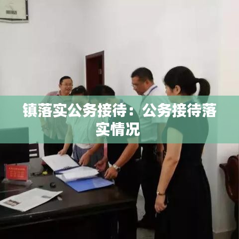 镇落实公务接待：公务接待落实情况 