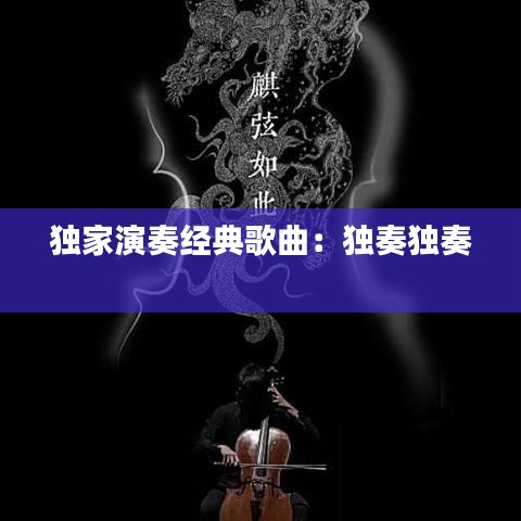 独家演奏经典歌曲：独奏独奏 