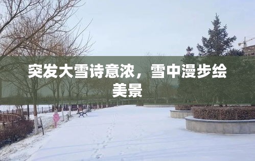 突发大雪诗意浓，雪中漫步绘美景
