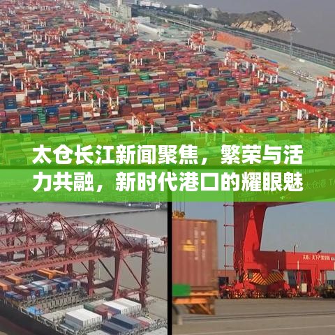 太仓长江新闻聚焦，繁荣与活力共融，新时代港口的耀眼魅力