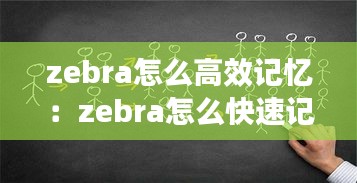 zebra怎么高效记忆：zebra怎么快速记忆 