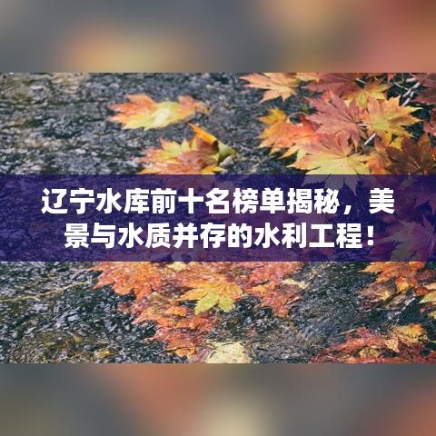 辽宁水库前十名榜单揭秘，美景与水质并存的水利工程！
