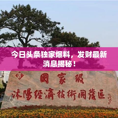 今日头条独家爆料，发财最新消息揭秘！