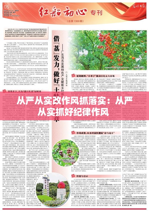 从严从实改作风抓落实：从严从实抓好纪律作风 