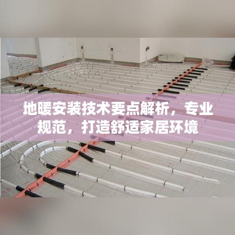 鸟语花香 第2页