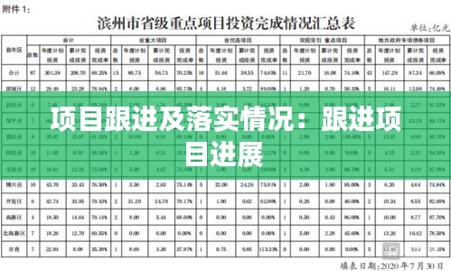项目跟进及落实情况：跟进项目进展 