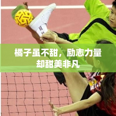 读书三到 第2页