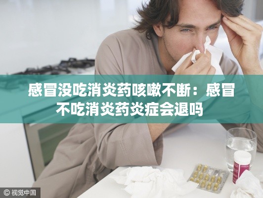 勤勤恳恳 第2页