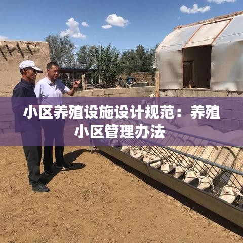 回眸最初 第2页
