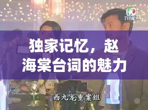 独家记忆，赵海棠台词的魅力与风采展现
