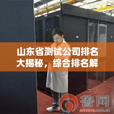 山东省测试公司排名大揭秘，综合排名解析