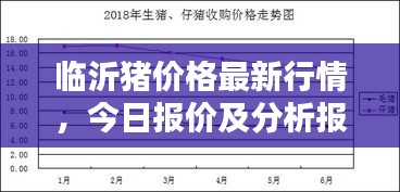临沂猪价格最新行情，今日报价及分析报告